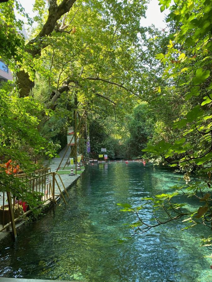Yuvarlakcay Cinar Butik Otel Koycegiz ภายนอก รูปภาพ